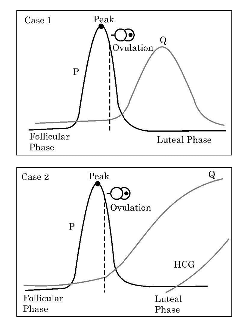 Case 1 and 2 Hormone Graphs