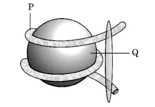 Nucleosome Structure