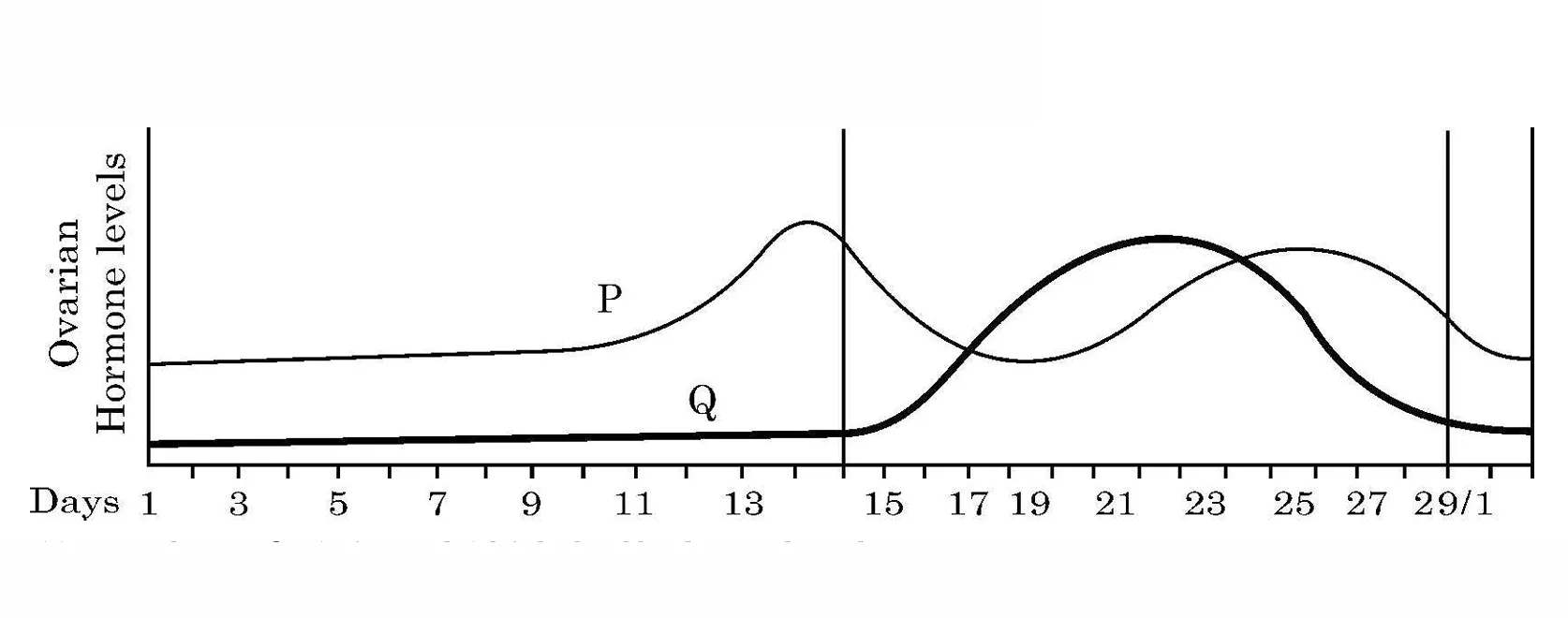Ovarian Hormone Levels Graph