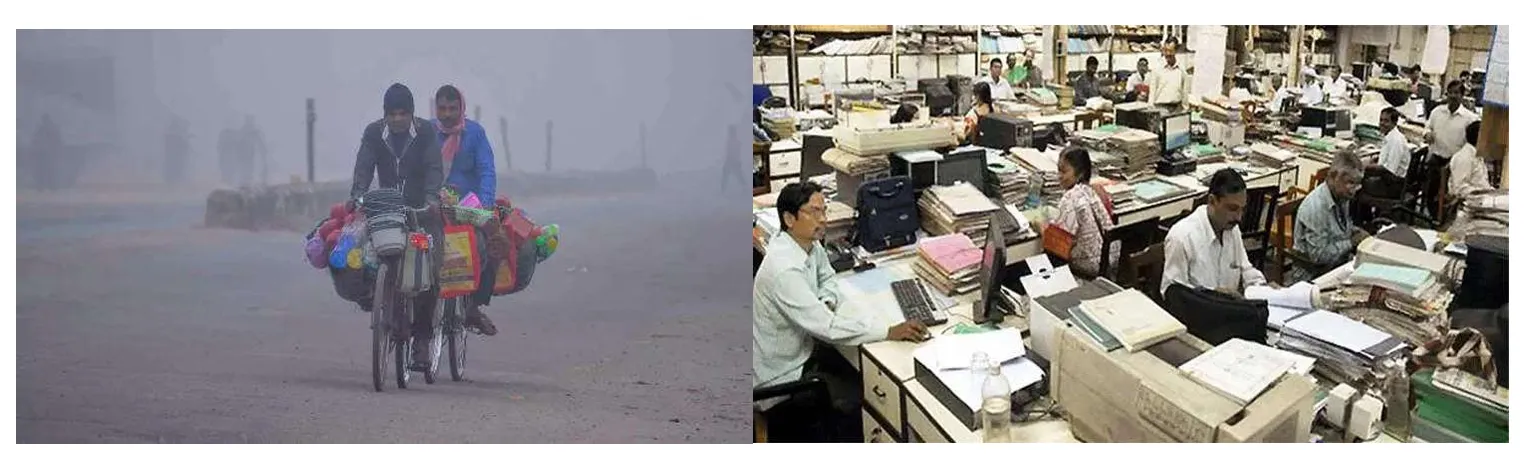Employment Sectors